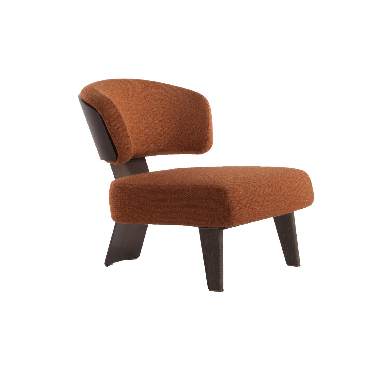 Eliza Arm Chair Modern Lounge Chair - Main Image
