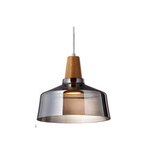 Load image into Gallery viewer, Olivia Glass Pendant Light
